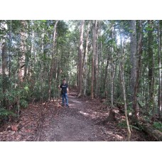 Transfer from Taman Negara to Kuala Tembeling